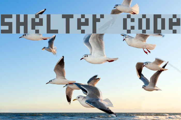 Shelter Code Font examples
