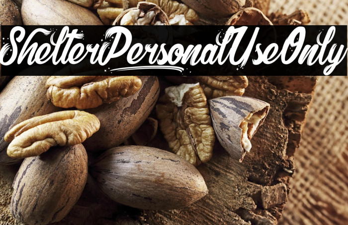 Shelter_PersonalUseOnly Example 1