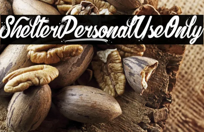 Shelter_PersonalUseOnly Example 1