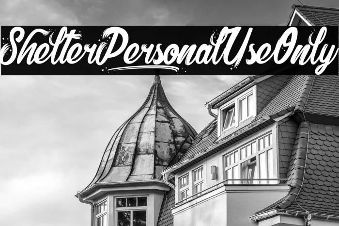 Shelter_PersonalUseOnly Example 3