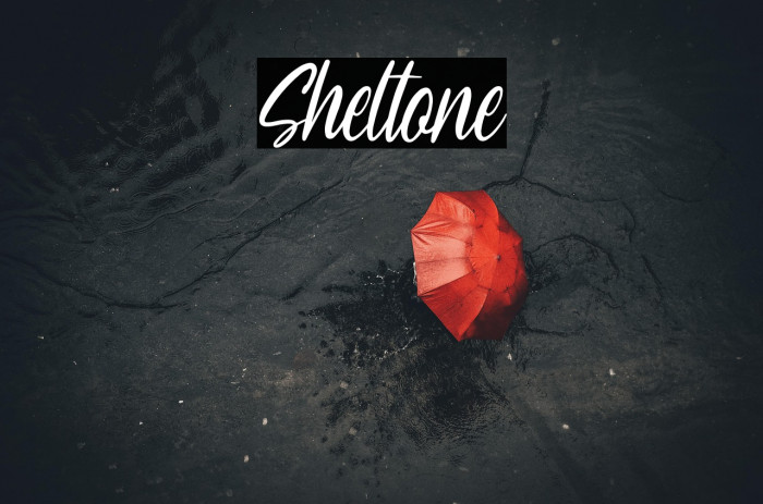 Sheltone Example 1