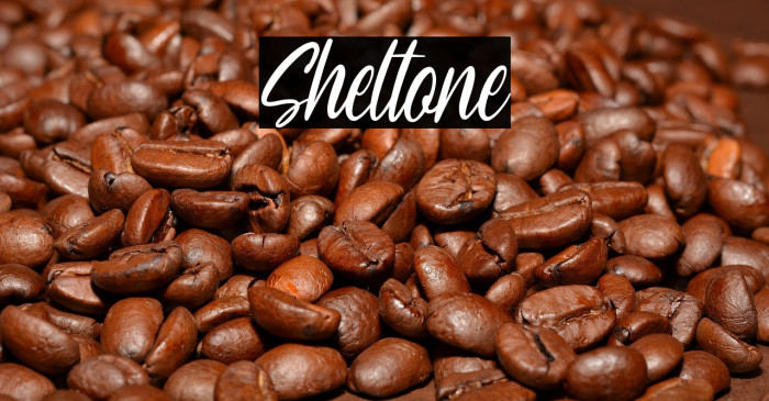 Sheltone Example 2