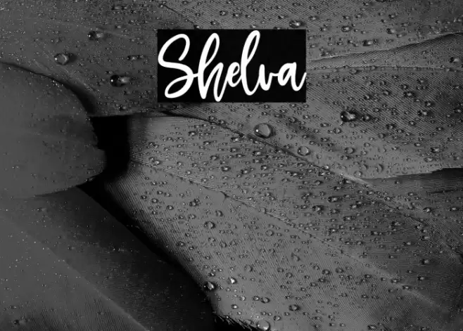 Shelva Font examples