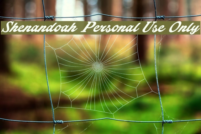 Shenandoah Personal Use Only Font examples