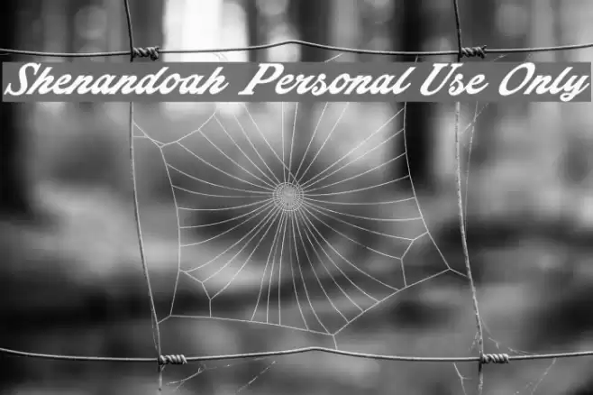 Shenandoah Personal Use Only Font examples
