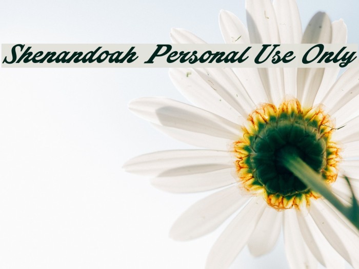 Shenandoah Personal Use Only Font examples