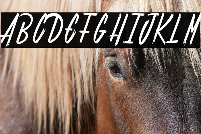 Shenanigans light_PersonalUseOnly Example 1