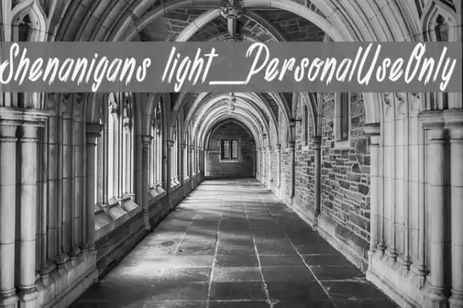 Shenanigans light_PersonalUseOnly Fuentes examples
