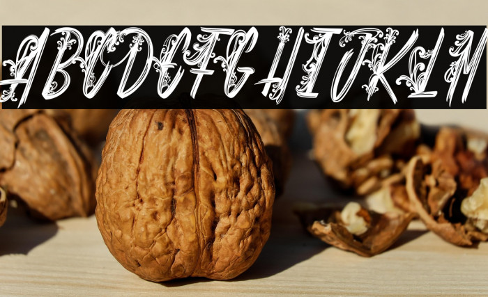 Shenanigans_PersonalUseOnly Example 2