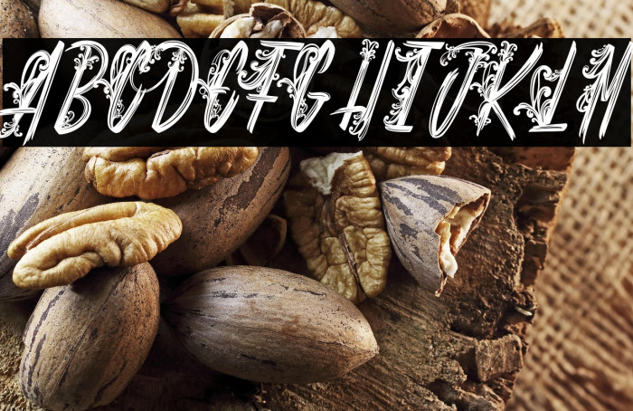 Shenanigans_PersonalUseOnly Example 3