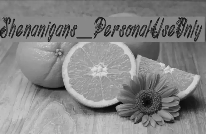 Shenanigans_PersonalUseOnly Font examples