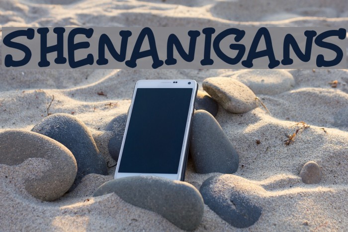 Shenanigans Example 1