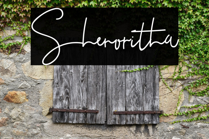 Shenoritha Example 1