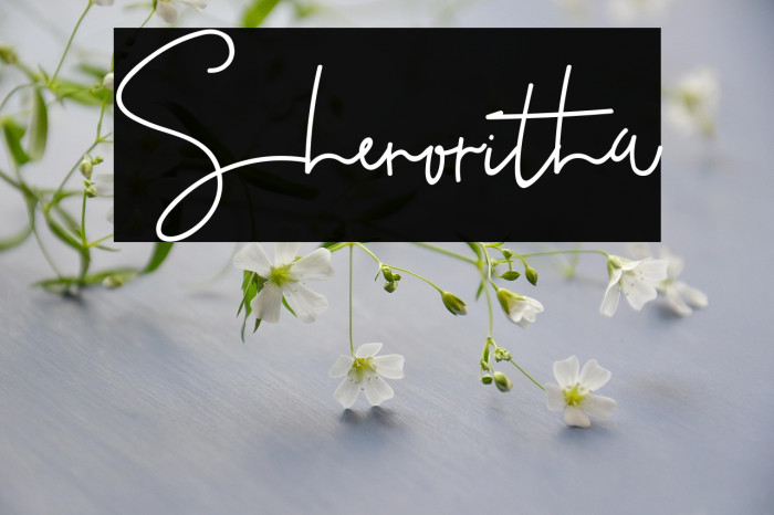 Shenoritha Example 2