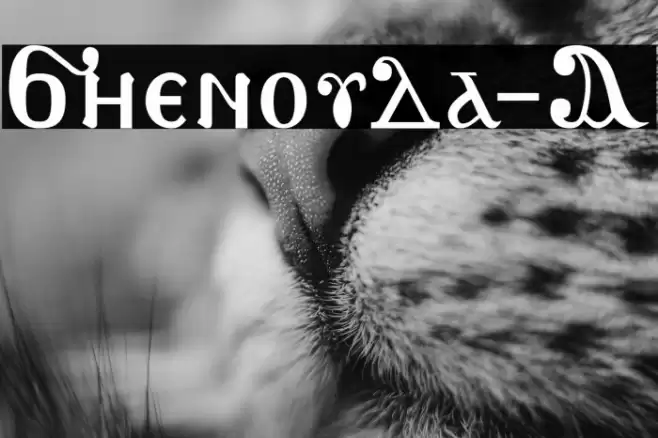 Shenouda-A Font examples