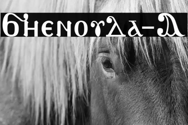 Shenouda-A Font examples