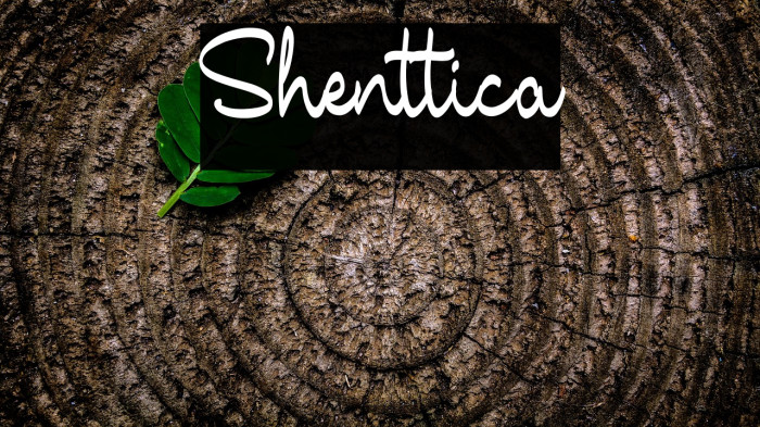 Shenttica Example 1