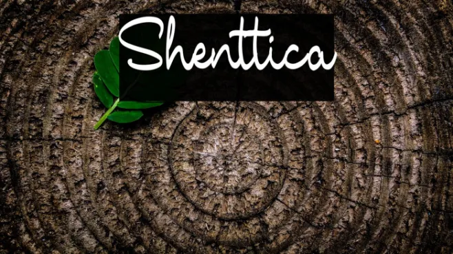 Shenttica Example 1