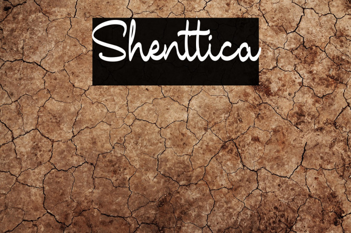 Shenttica Example 3