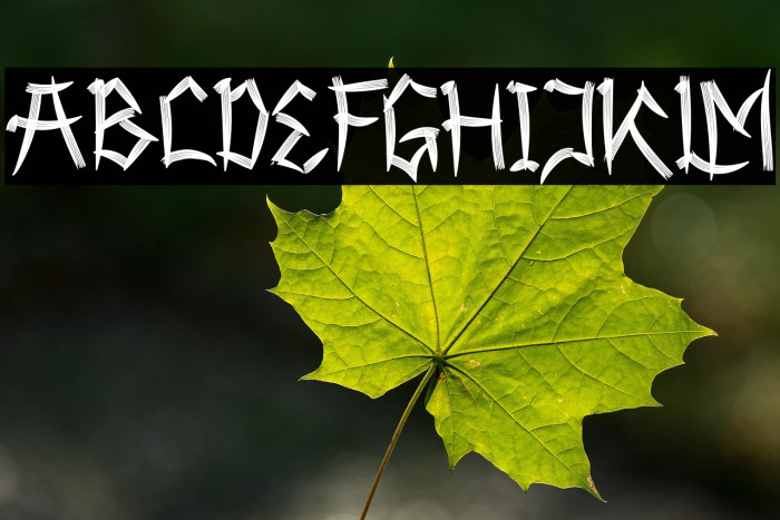 Shenttpuro Example 2