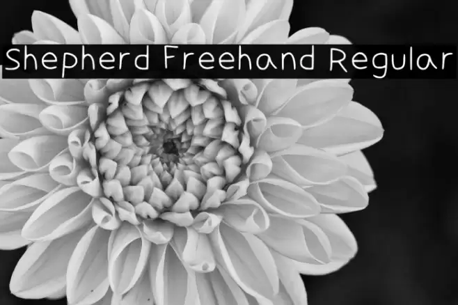 Shepherd Freehand Regular 字体 examples