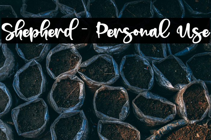 Shepherd - Personal Use Example 1