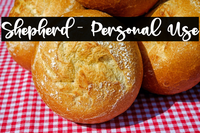 Shepherd - Personal Use Example 2