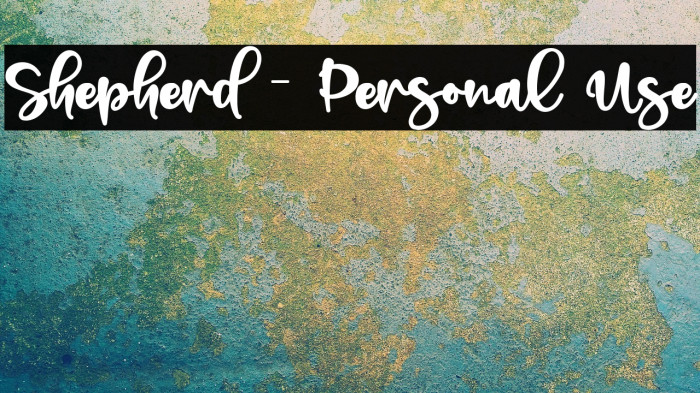 Shepherd - Personal Use Example 3