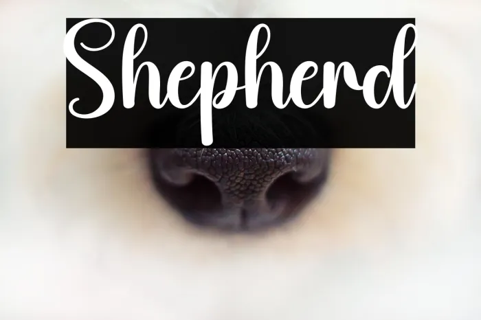 Shepherd Example 1