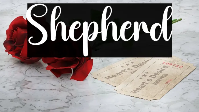 Shepherd Example 2