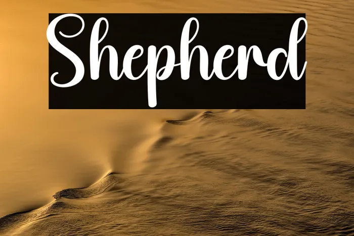 Shepherd Example 3