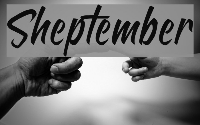 Sheptember Font examples