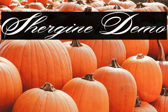 Shergine Demo Example 1