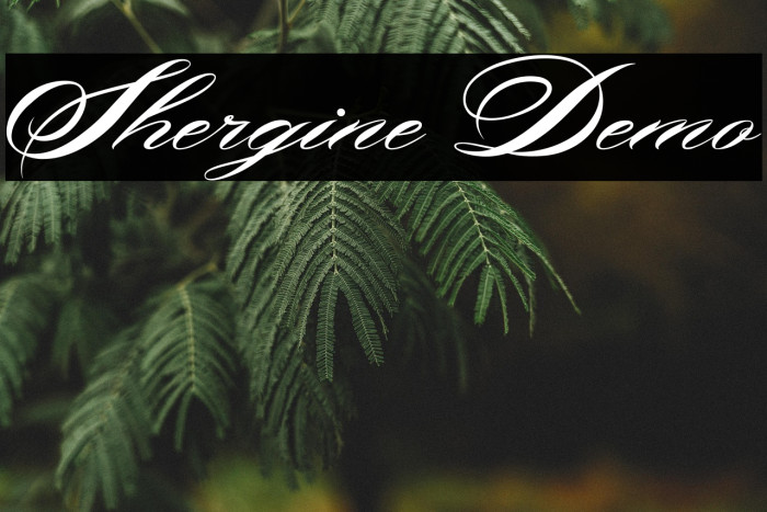 Shergine Demo Example 2