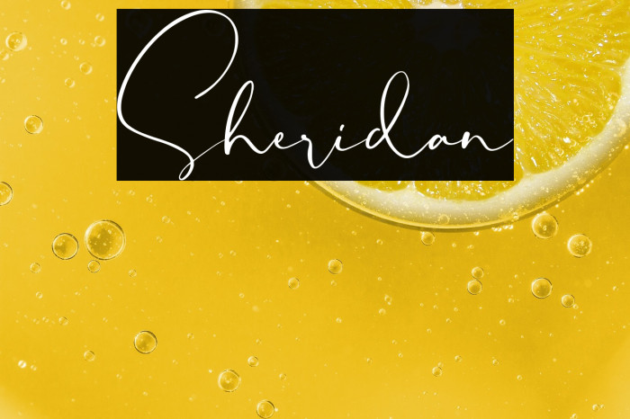 Sheridan Example 1