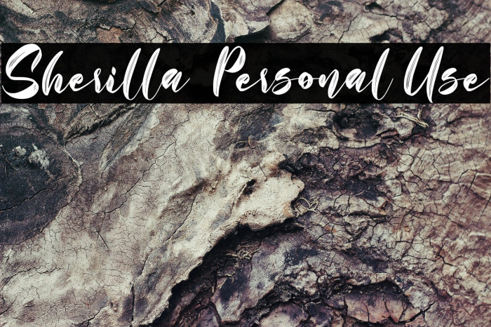 Sherilla - Personal Use Example 3
