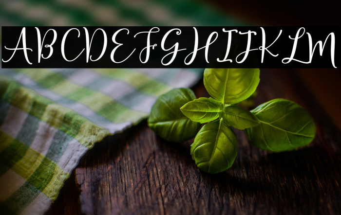 Sherilyn Script Regular Example 1