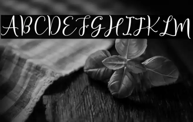 Sherilyn Script Regular Font examples