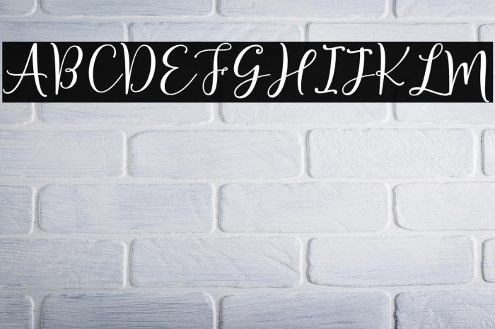 Sherilyn Script Regular Example 3