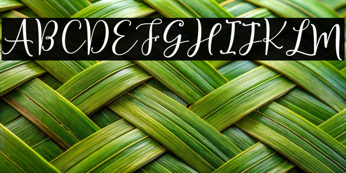 Sherilyn Script Regular Example 3