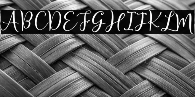 Sherilyn Script Regular Font examples