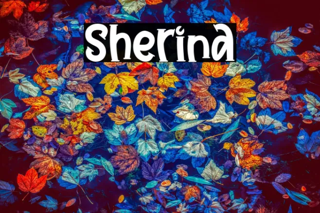 Sherina Example 1