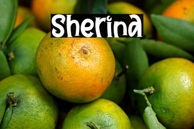 Sherina Example 2