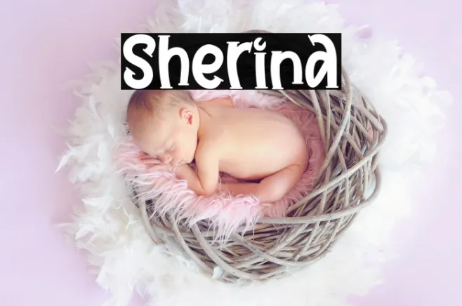 Sherina Example 3