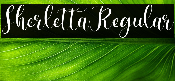 SherlettaRegular Example 2