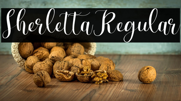 SherlettaRegular Example 3