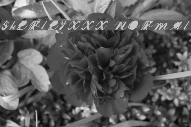 SherleyXXX Normal Font examples