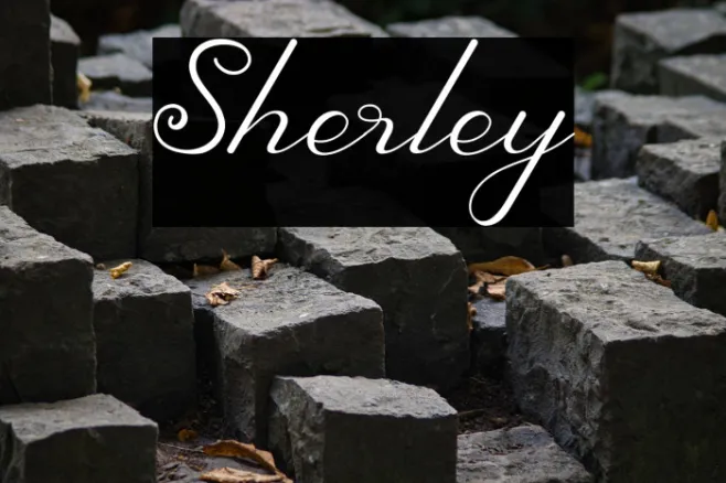 Sherley Example 1
