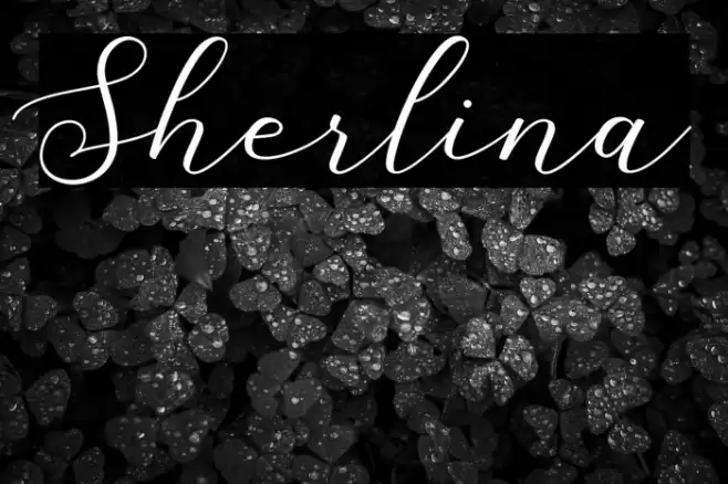 Sherlina Font examples