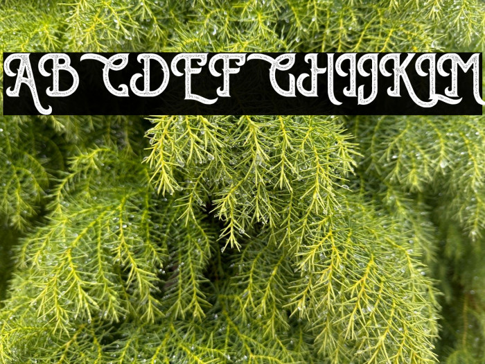 SherlockPressPersonalUse Example 1